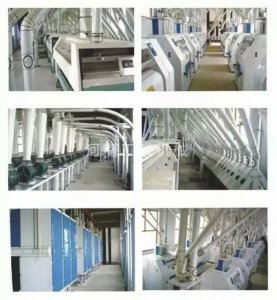 120噸樓房結構面粉機